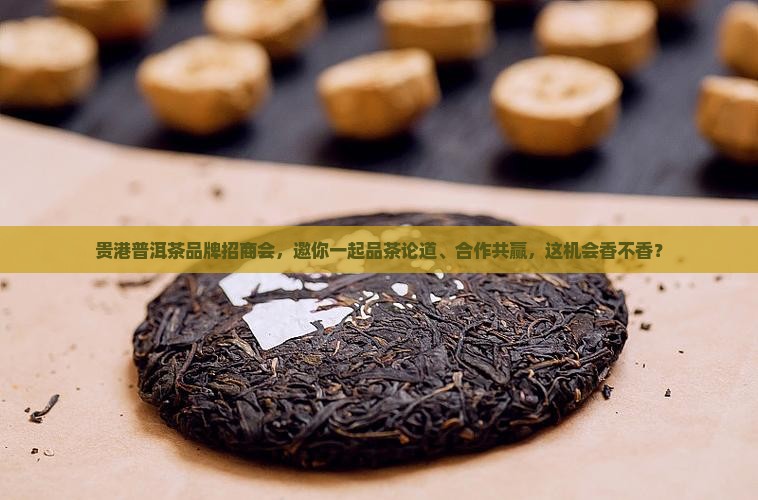 贵港普洱茶品牌招商会策划