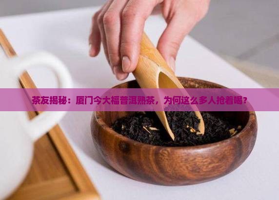 厦门今大福普洱熟茶