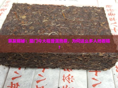厦门今大福普洱熟茶