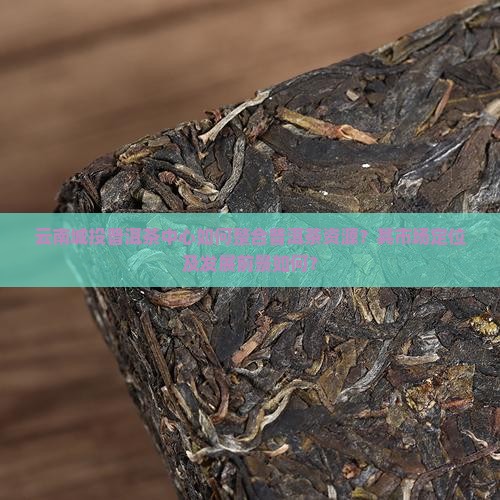 云南城投普洱茶中心