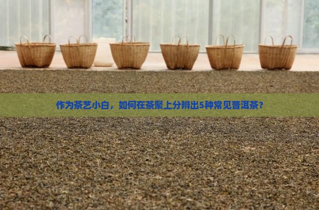 普洱茶的不同种类
