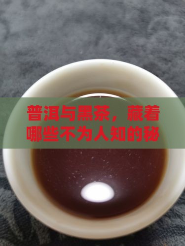 普洱茶和黑茶有什么毒
