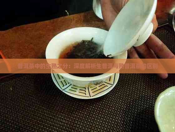 生普洱跟熟普洱茶的区别