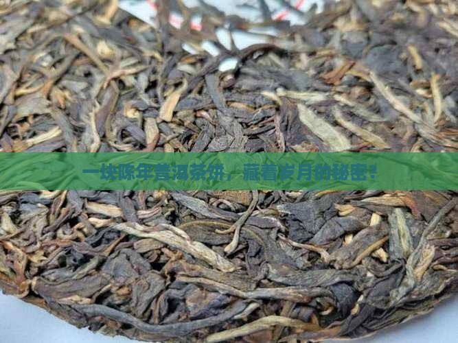 老树普洱茶叶饼生茶