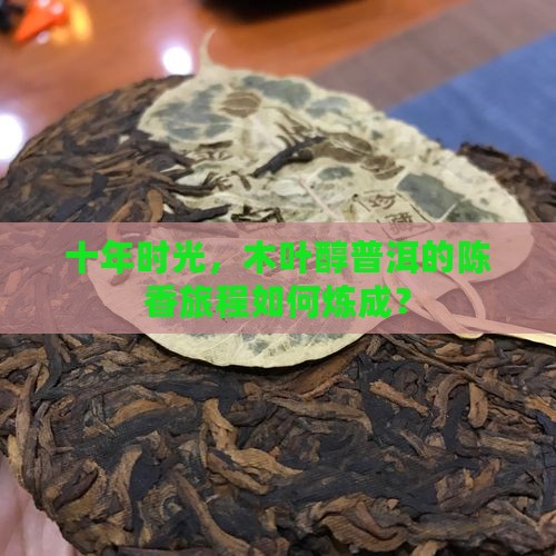 木叶醇普洱茶十年