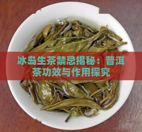 冰岛生茶的禁忌