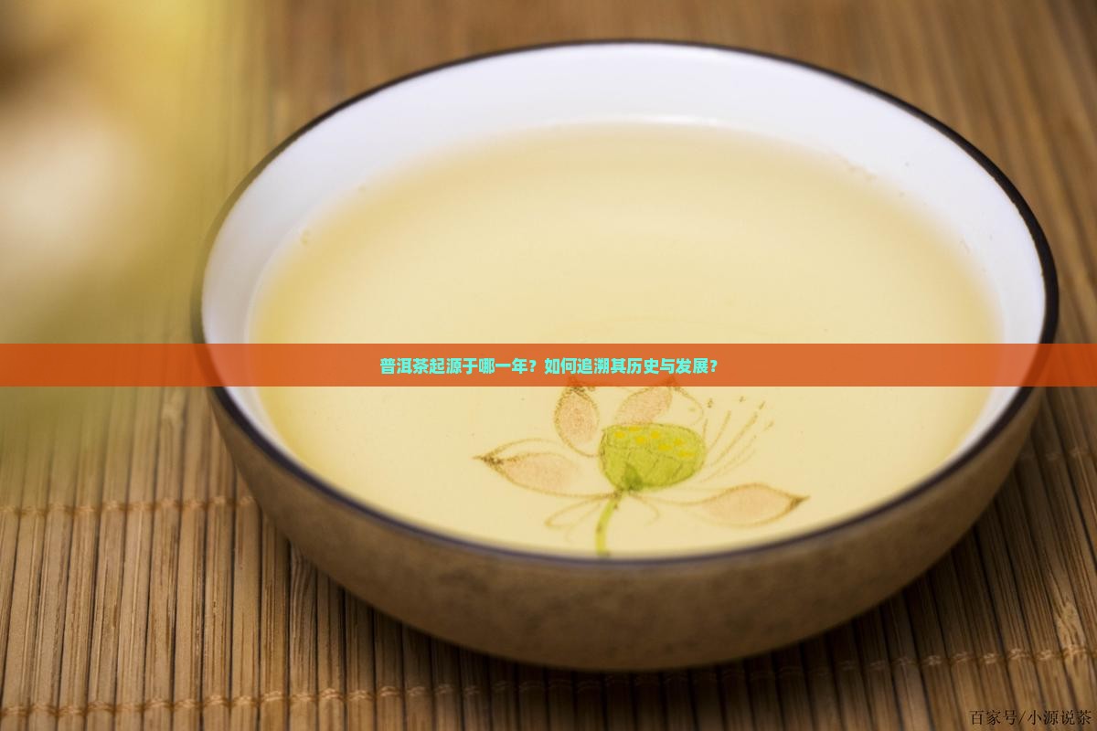 哪年才有普洱茶