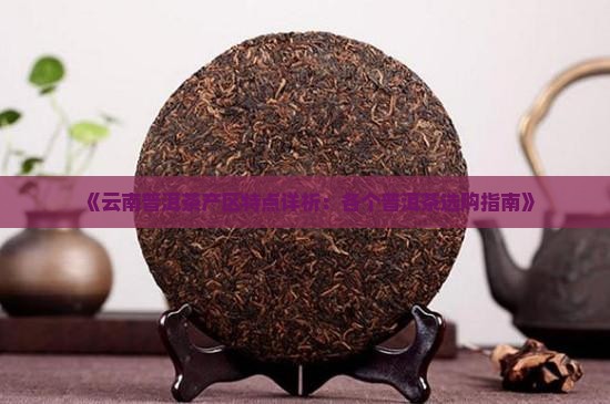 云南普洱茶各个产区特点
