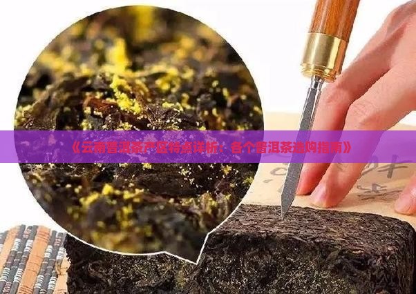 云南普洱茶各个产区特点