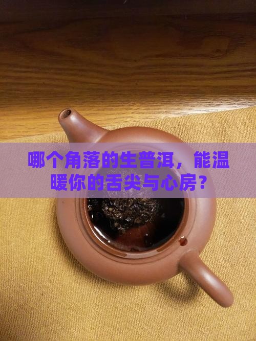 什么地方的生普洱茶好喝