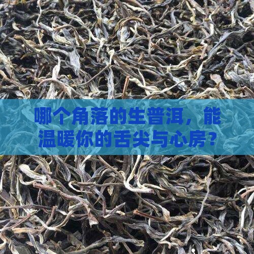 什么地方的生普洱茶好喝