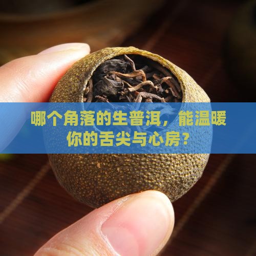 什么地方的生普洱茶好喝