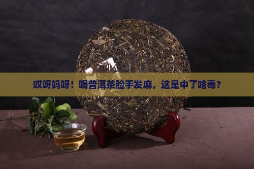 喝普洱茶脸手发麻是咋回事