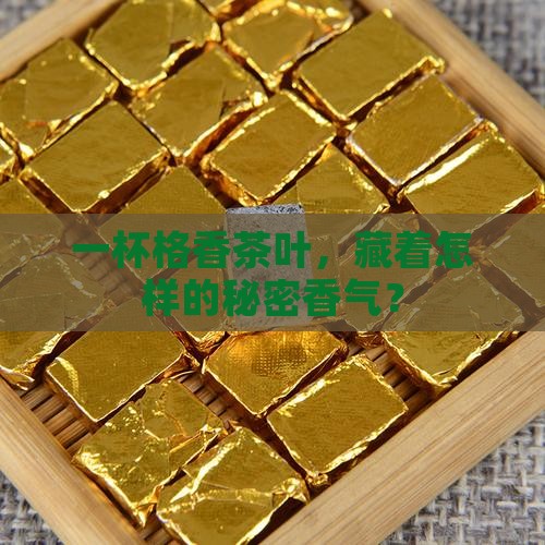 格香茶叶怎么样