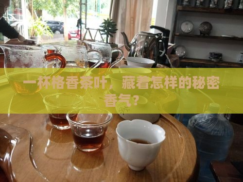 格香茶叶怎么样
