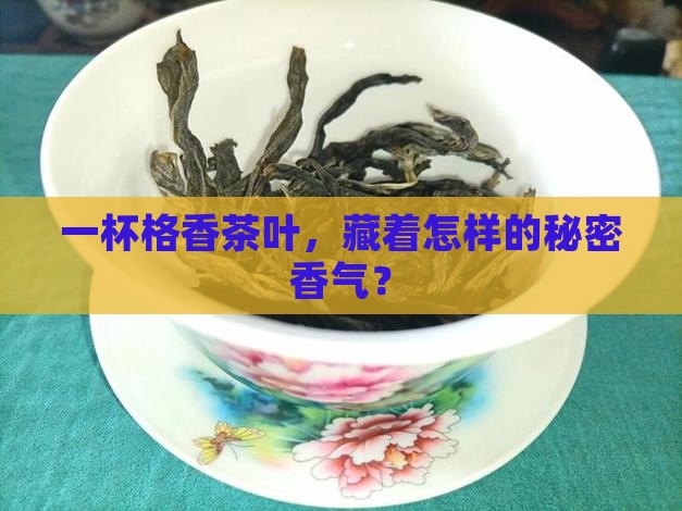 格香茶叶怎么样