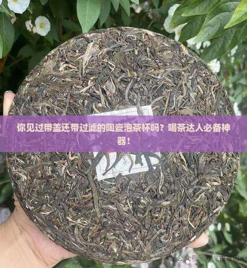 陶瓷泡茶杯过滤带盖