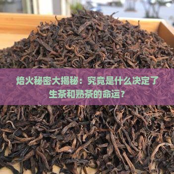 生茶和熟茶是由焙火的什么决定的