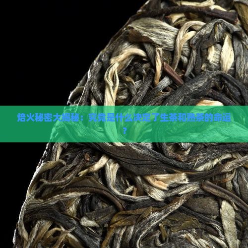 生茶和熟茶是由焙火的什么决定的