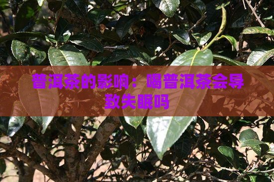 普洱茶化石喝了会睡不着觉吗