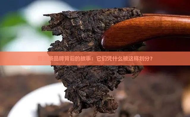 普洱茶品牌的划分标准是什么 普洱茶品牌的划分标准是什么