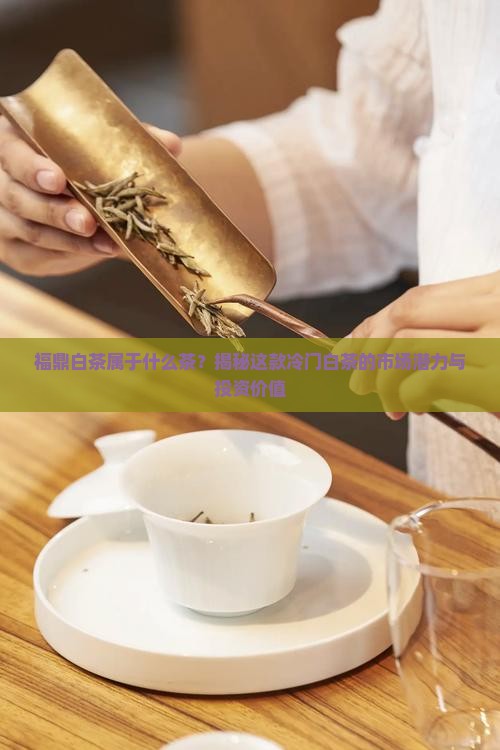 福鼎白茶属于什么茶