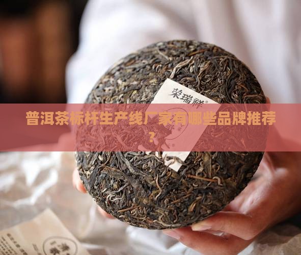 普洱茶标杆生产线厂家有哪些