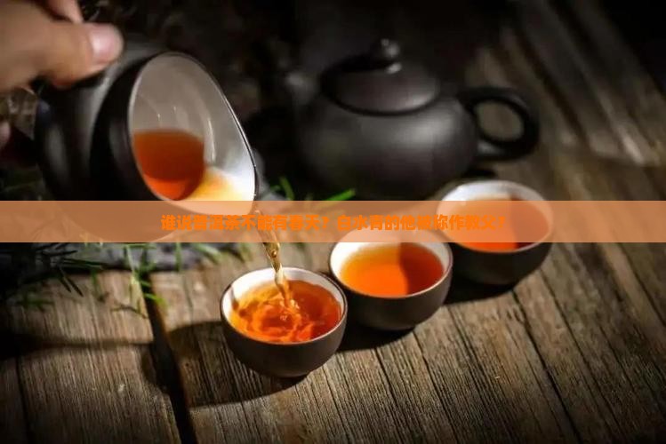 白水青普洱茶教父