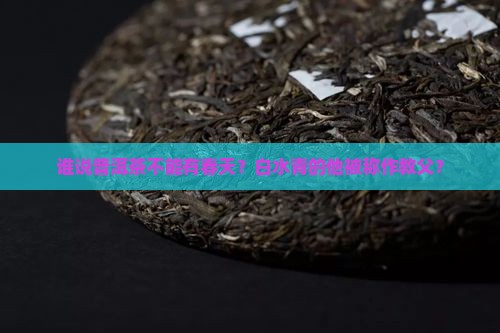白水青普洱茶教父
