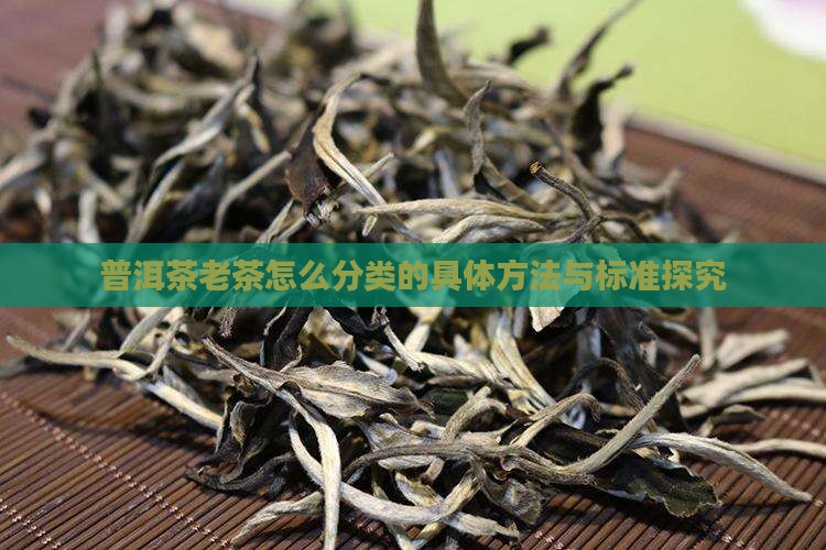 普洱茶老茶怎么分类的