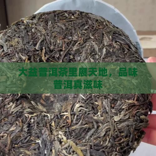 大益普洱茶里开天地