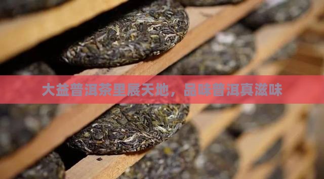 大益普洱茶里开天地