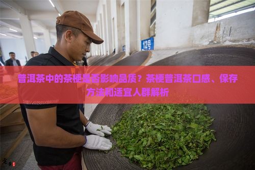 茶梗普洱茶好吗