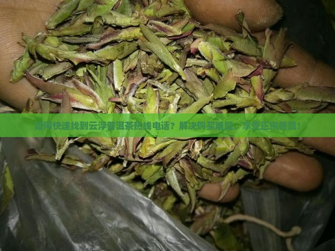 云浮普洱茶热线电话