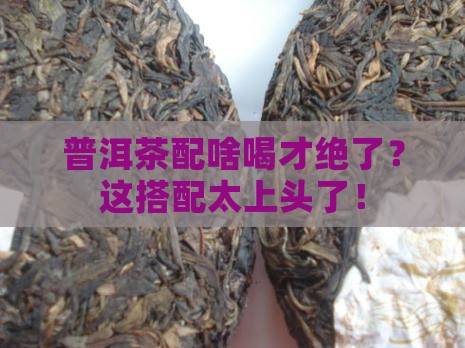 普洱茶可以与什么一起喝