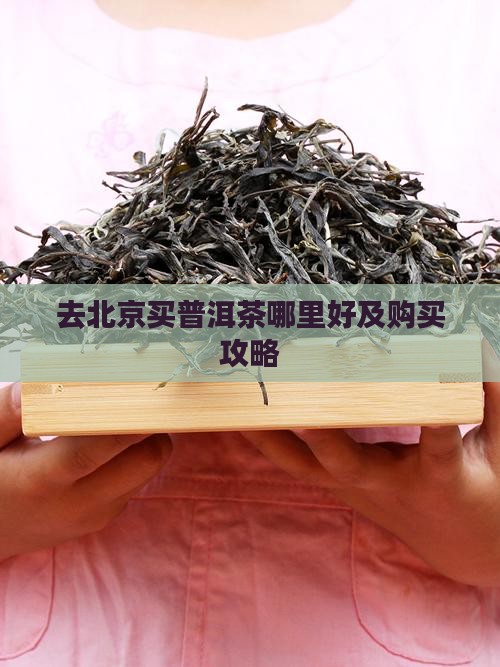 去北京买普洱茶