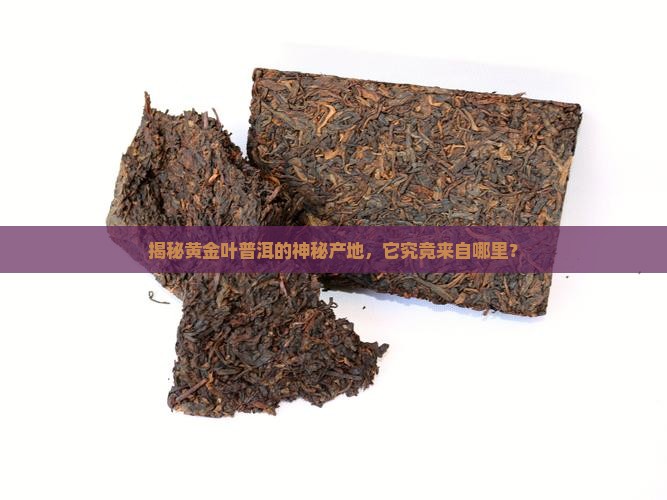 黄金叶普洱茶哪里产的