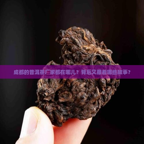 成都普洱茶生产厂家有哪些