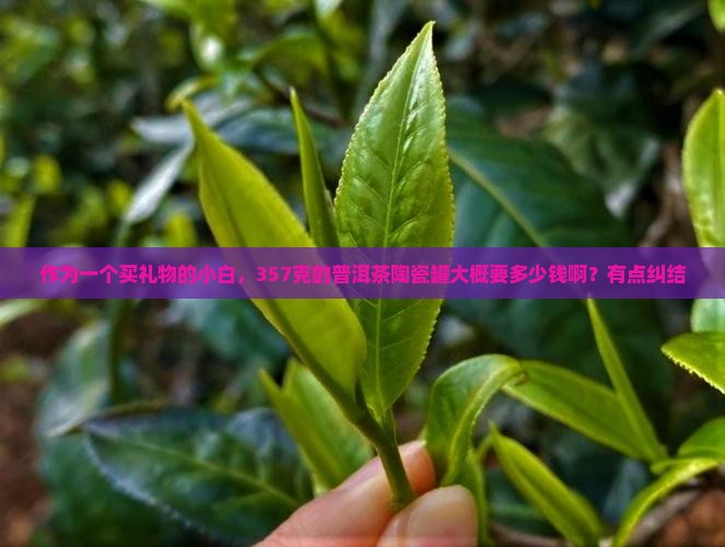 普洱茶陶瓷罐357克多少钱