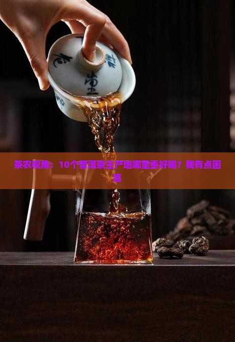 什么茶叶主产普洱茶