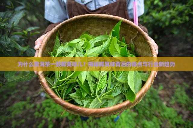 普洱茶一股脚臭味儿