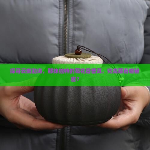 云南勐海葛花香普洱茶