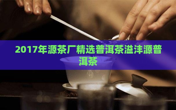 2017年溢沣源普洱茶 2017年溢沣源普洱茶