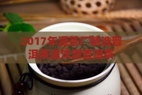 2017年溢沣源普洱茶 2017年溢沣源普洱茶