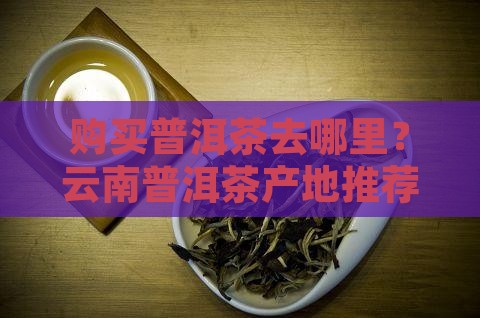 买普洱茶去云南哪个地方