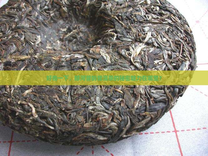 郎河普韵普洱茶