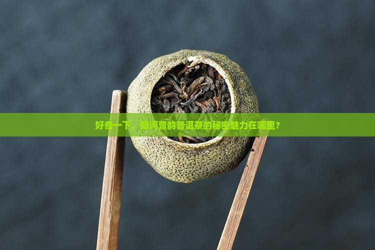 郎河普韵普洱茶