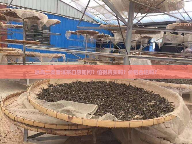 冰岛二类普洱茶怎么样