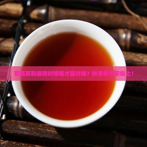 普洱茶一般什么季节喝好些