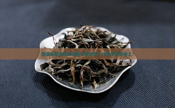 普洱茶一般什么季节喝好些